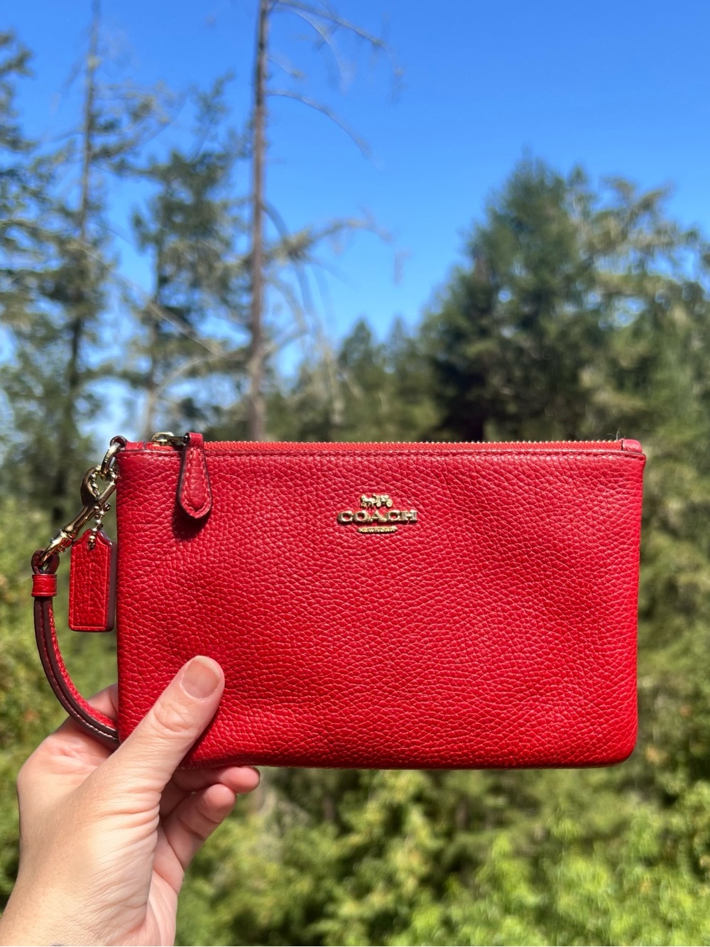 COACH Women's Small Wristlet Red Pebbled Leather Gold/Brass Hardware 22952